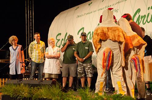 2011-gr-ne-soae-festival009.jpg